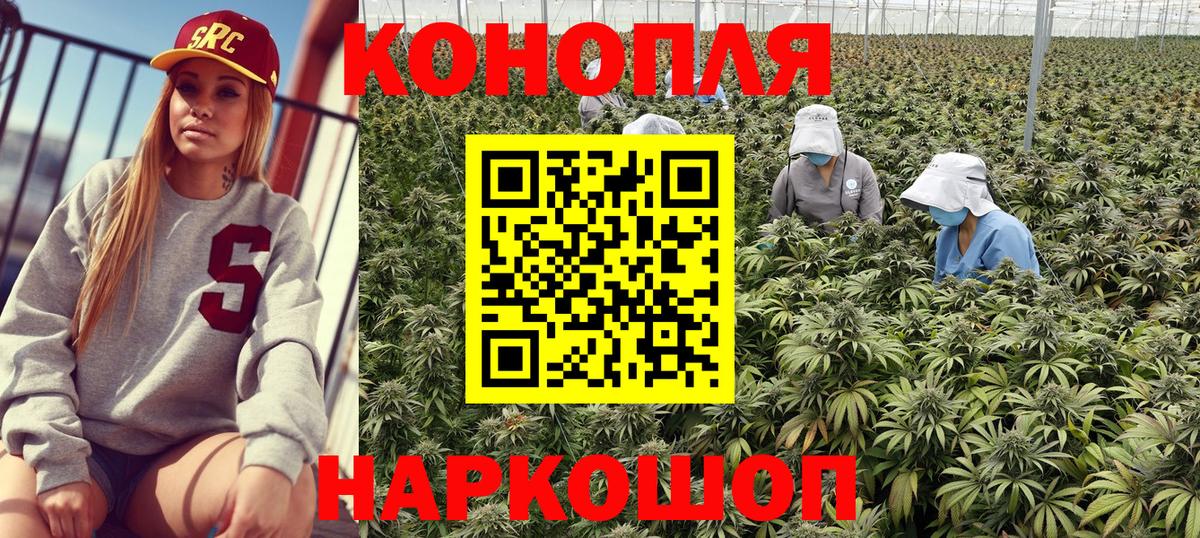Бошки марихуана MAZAR  Вход с VPN  Нефтеюганск  Шишки марихуана индика  Конопля Bruce Banner 